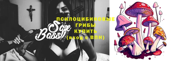 бошки Бронницы