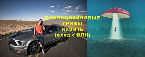 бошки Бронницы