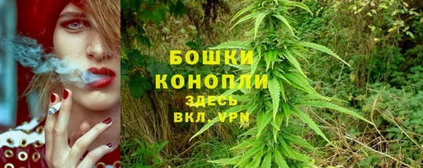 бошки Бронницы