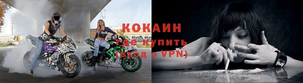 бошки Бронницы