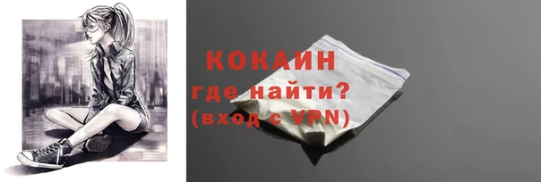 гидра Бородино
