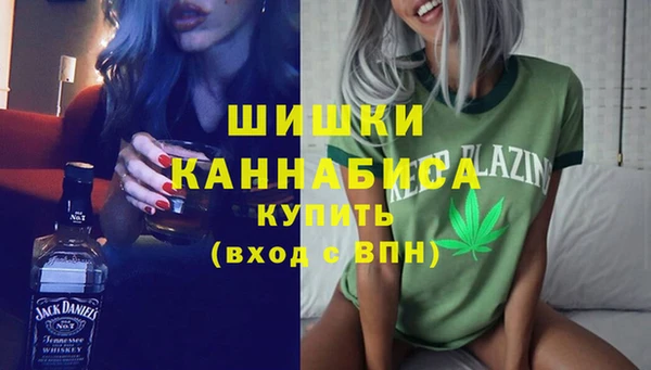 бошки Бронницы